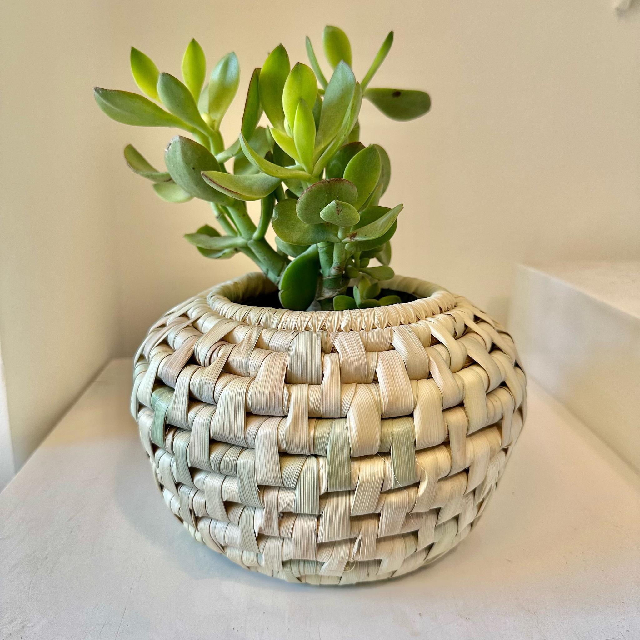 Belly plant pot cover